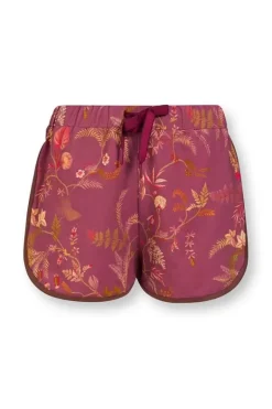 Korte Broek Isola