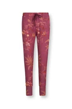 Lange Broek Isola