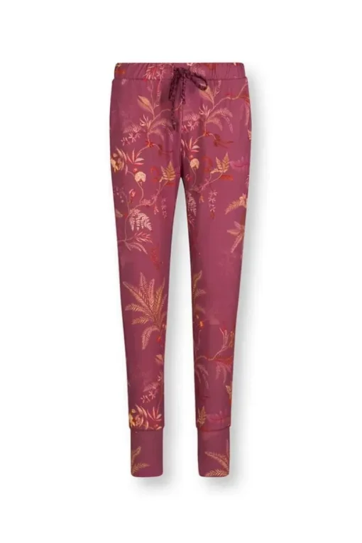 Lange Broek Isola