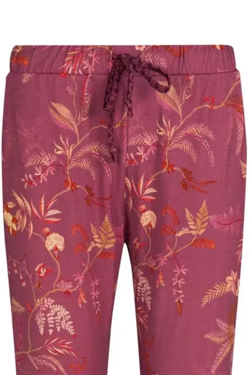 Lange Broek Isola
