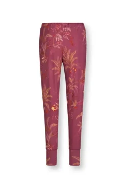 Lange Broek Isola