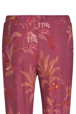 Lange Broek Isola