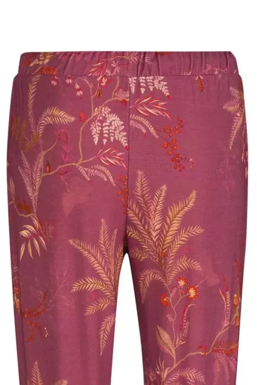 Lange Broek Isola