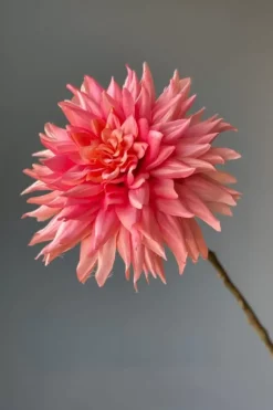 Pip Kunstbloemen Vanilla Bloom