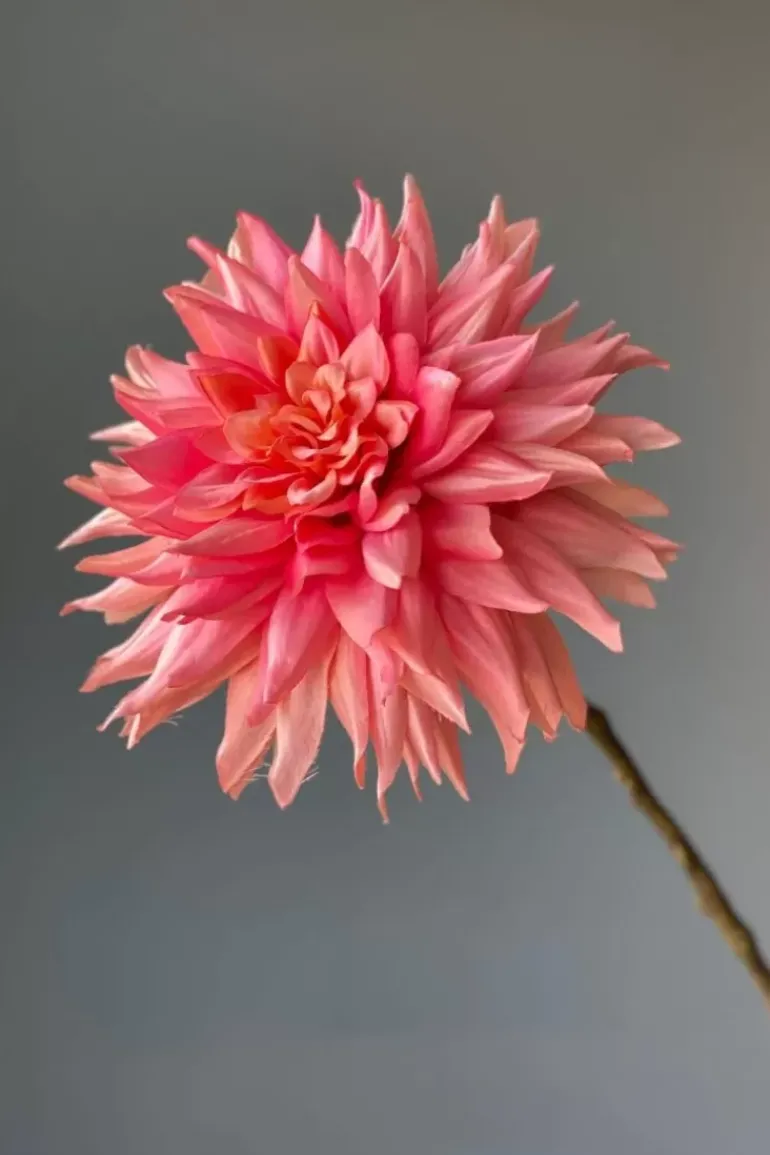 Pip Kunstbloemen Vanilla Bloom