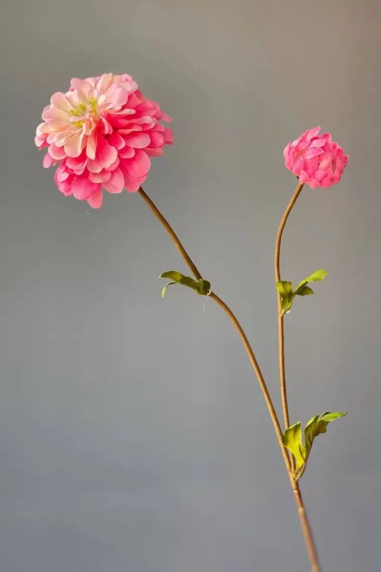 Pip Kunstbloemen Vanilla Bloom