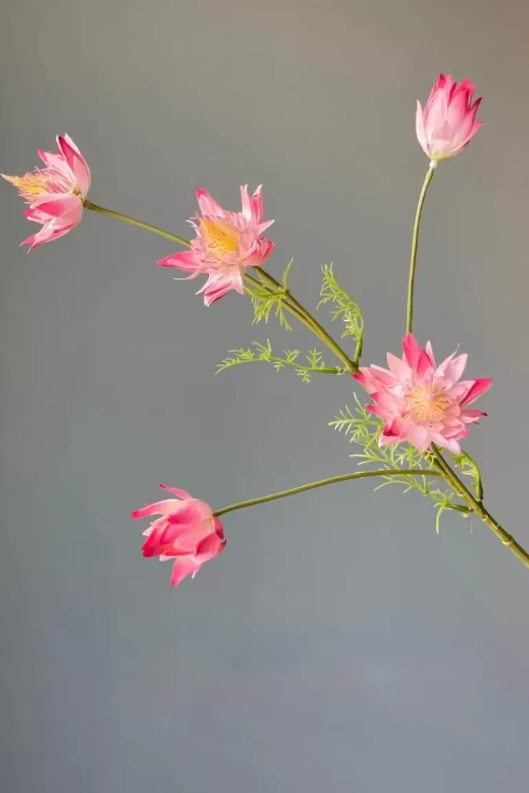 Pip Kunstbloemen Vanilla Bloom